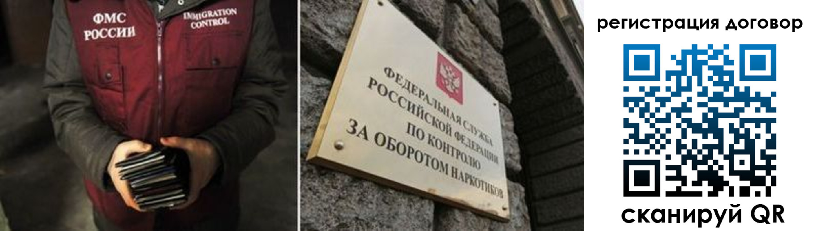 прописка гарантия в Александровске