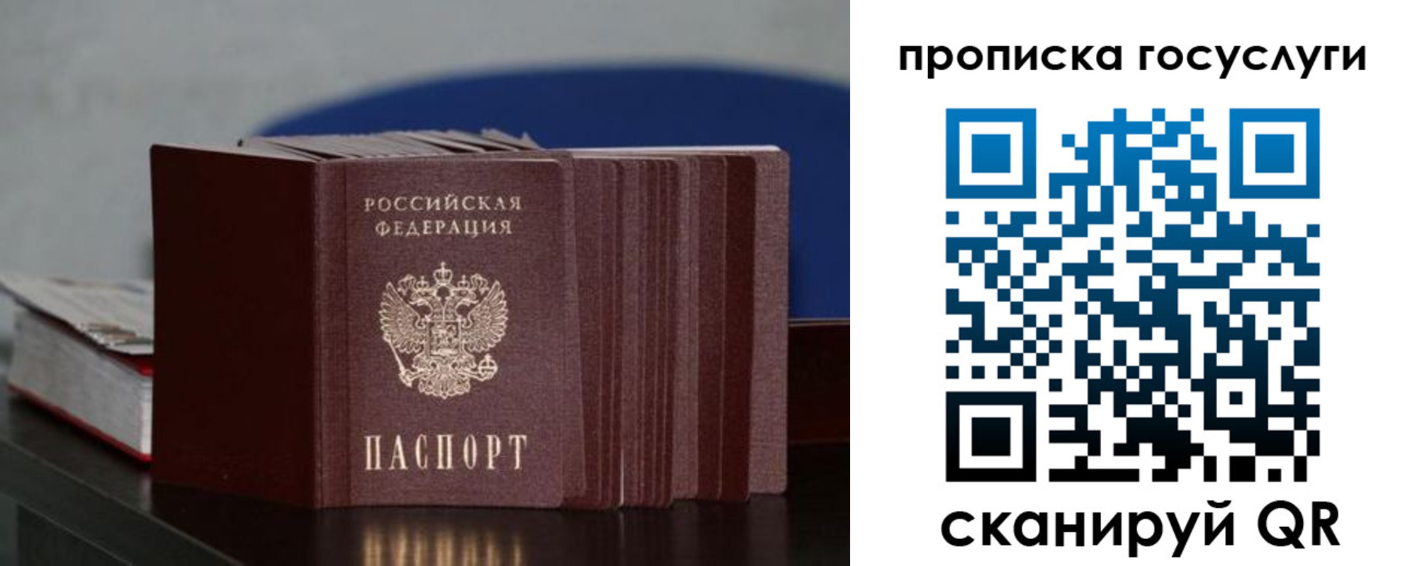 купить прописку в Александровске